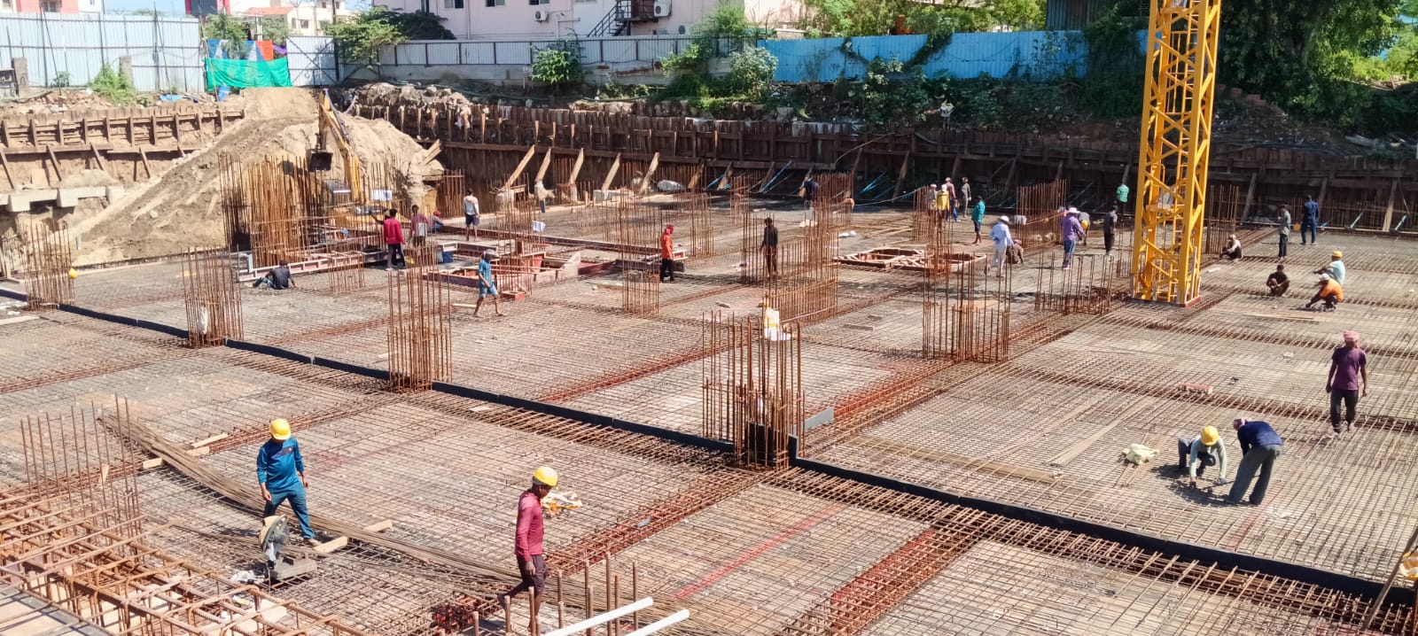 Sai Aranya Progress Image
