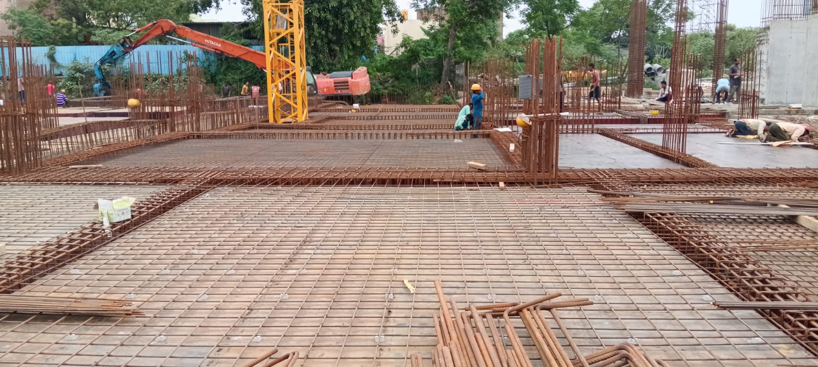 Sai Aranya Progress Image