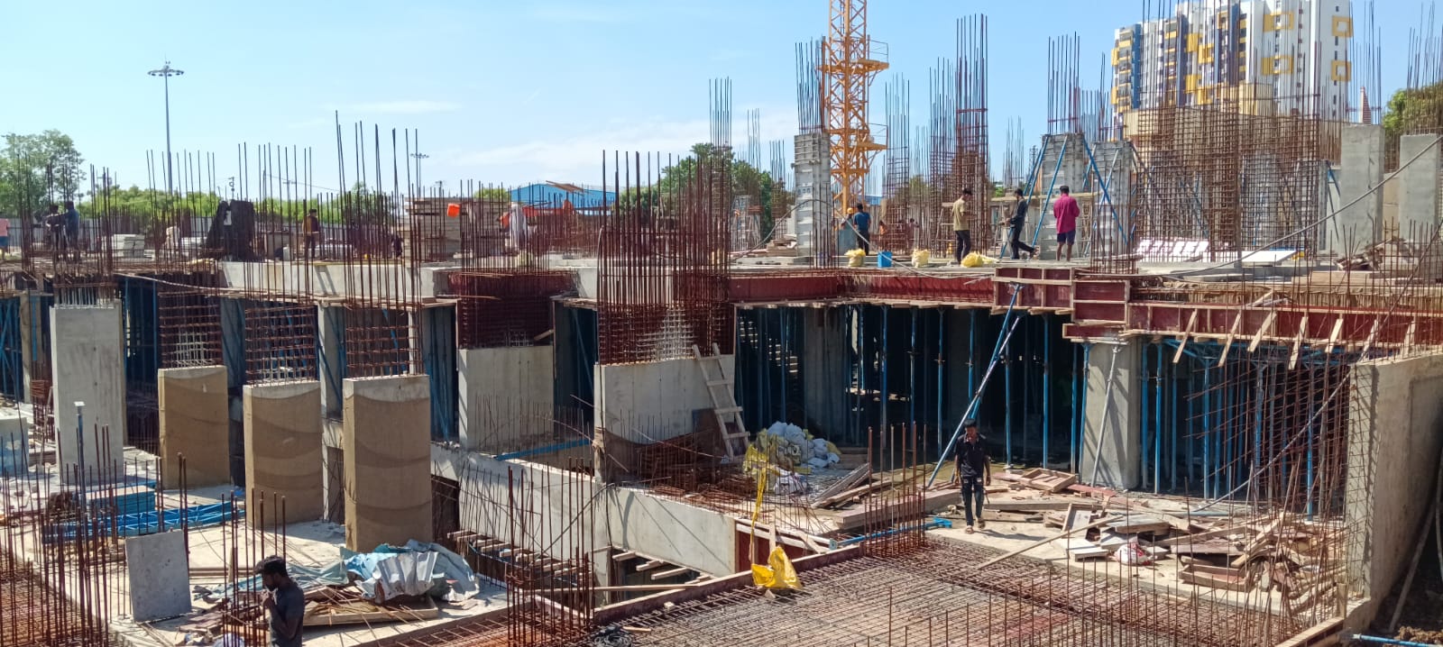 Sai Aranya Progress Image