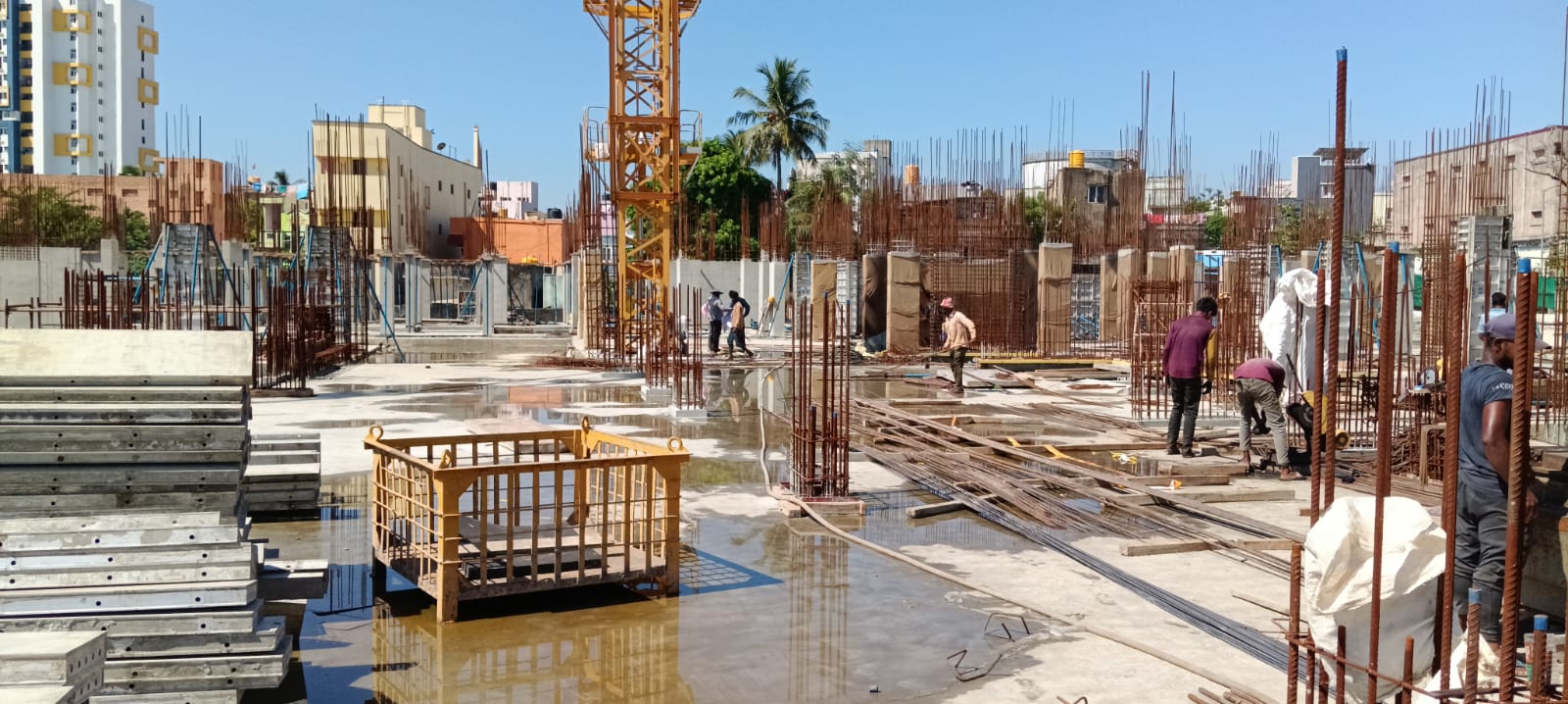 Sai Aranya Progress Image