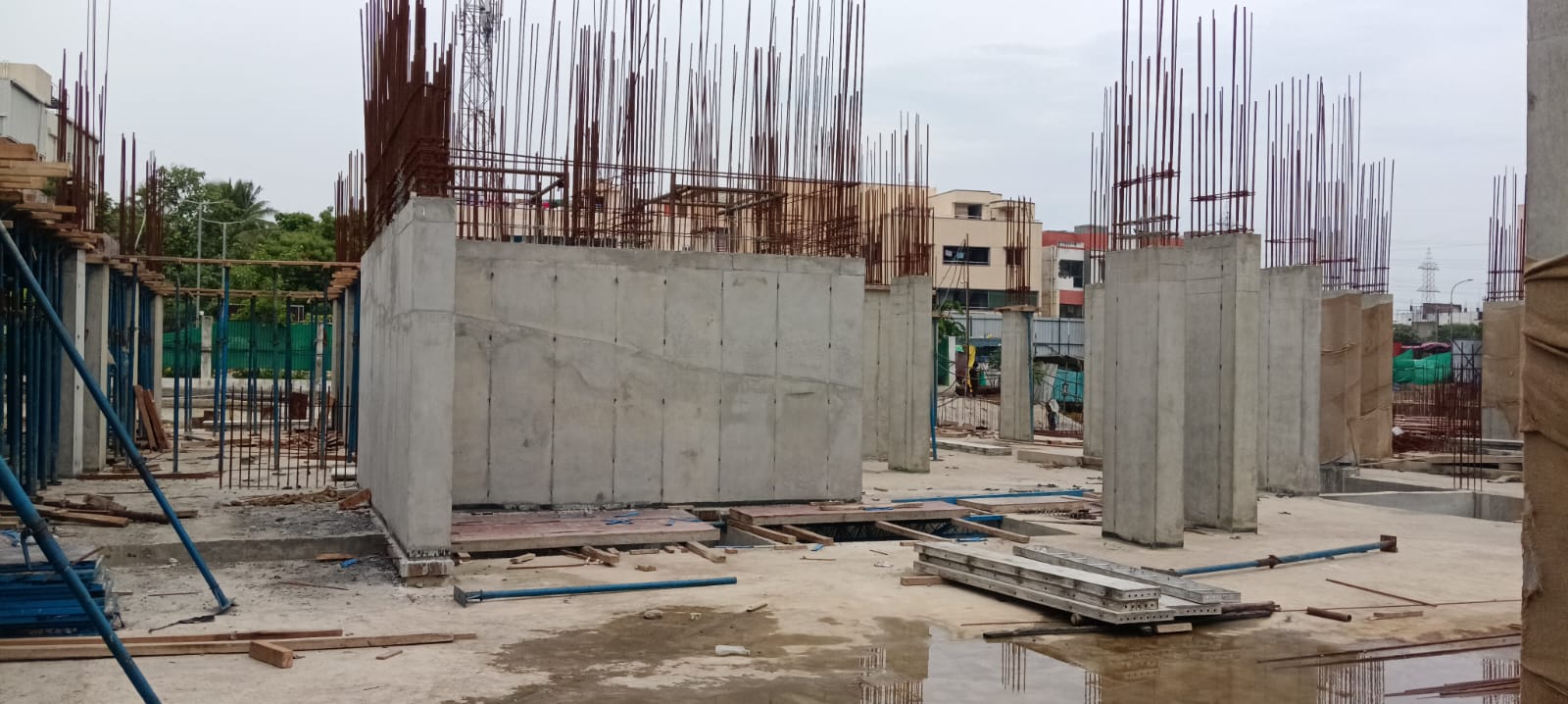 Sai Aranya Progress Image
