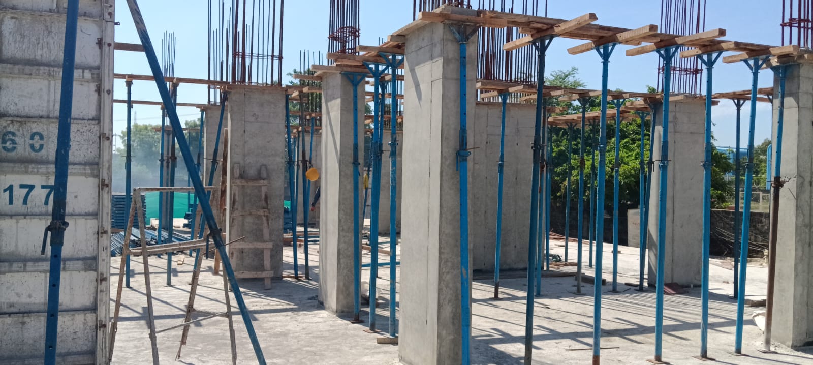 Sai Aranya Progress Image