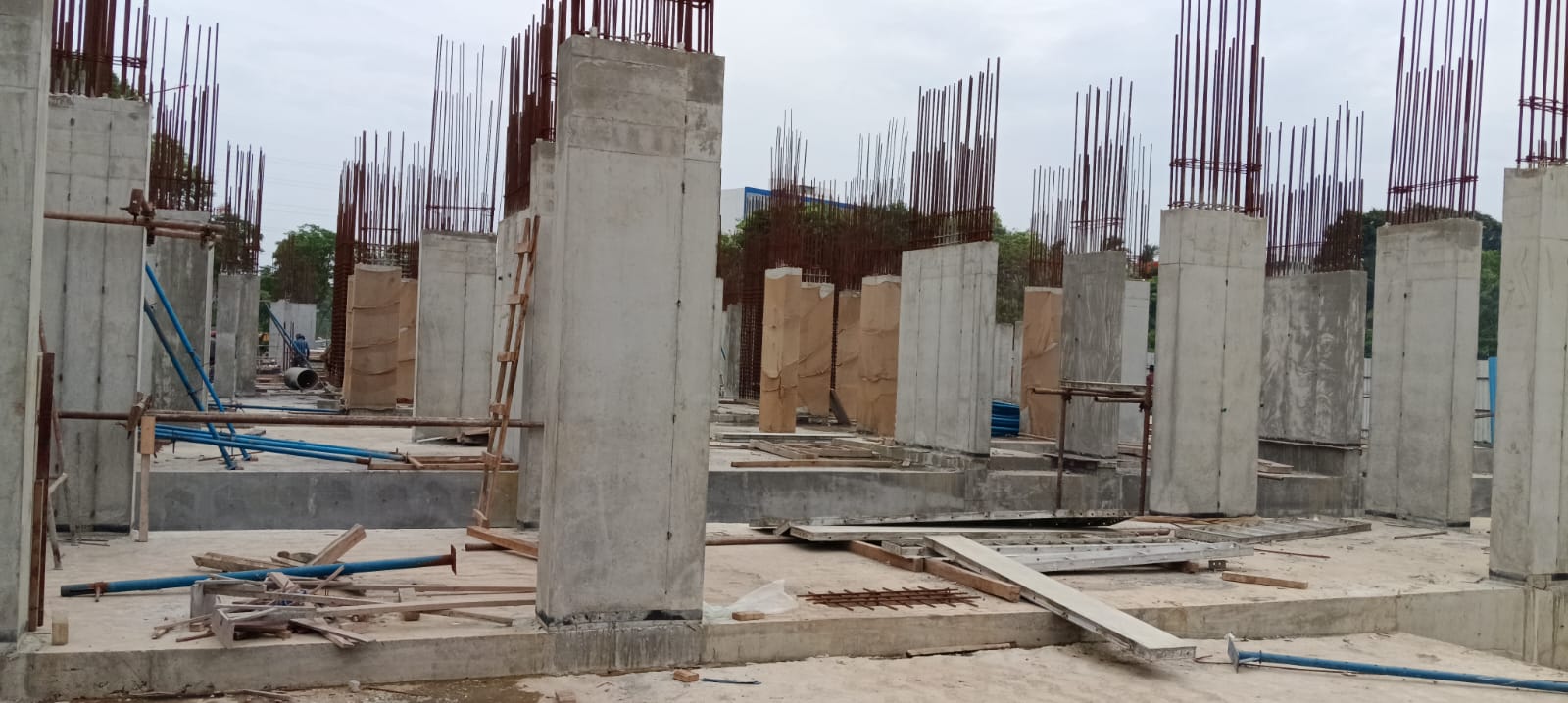 Sai Aranya Progress Image