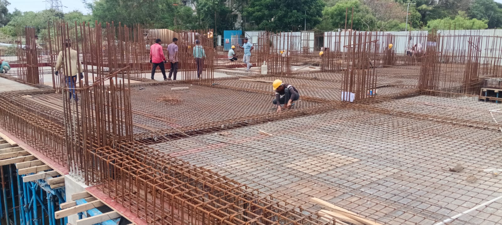 Sai Aranya Progress Image