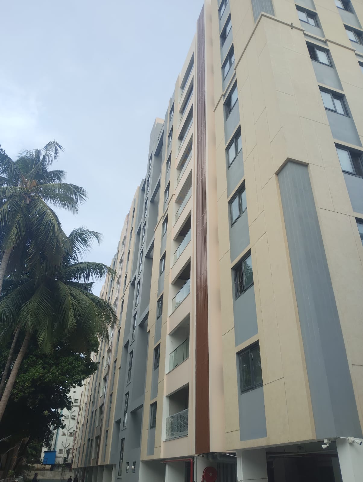 Manasa Progress Image