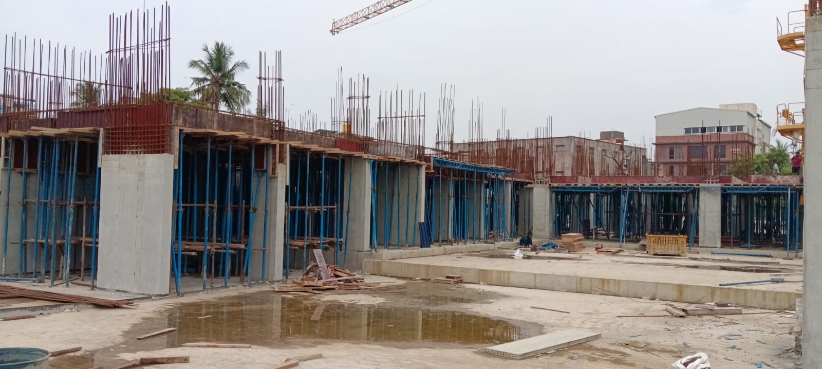Sai Aranya Progress Image
