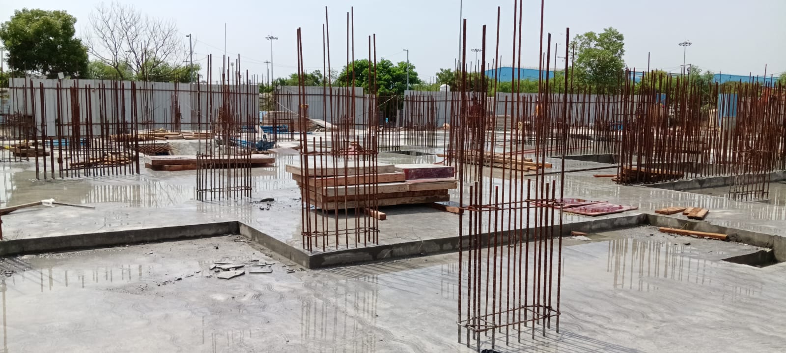Sai Aranya Progress Image