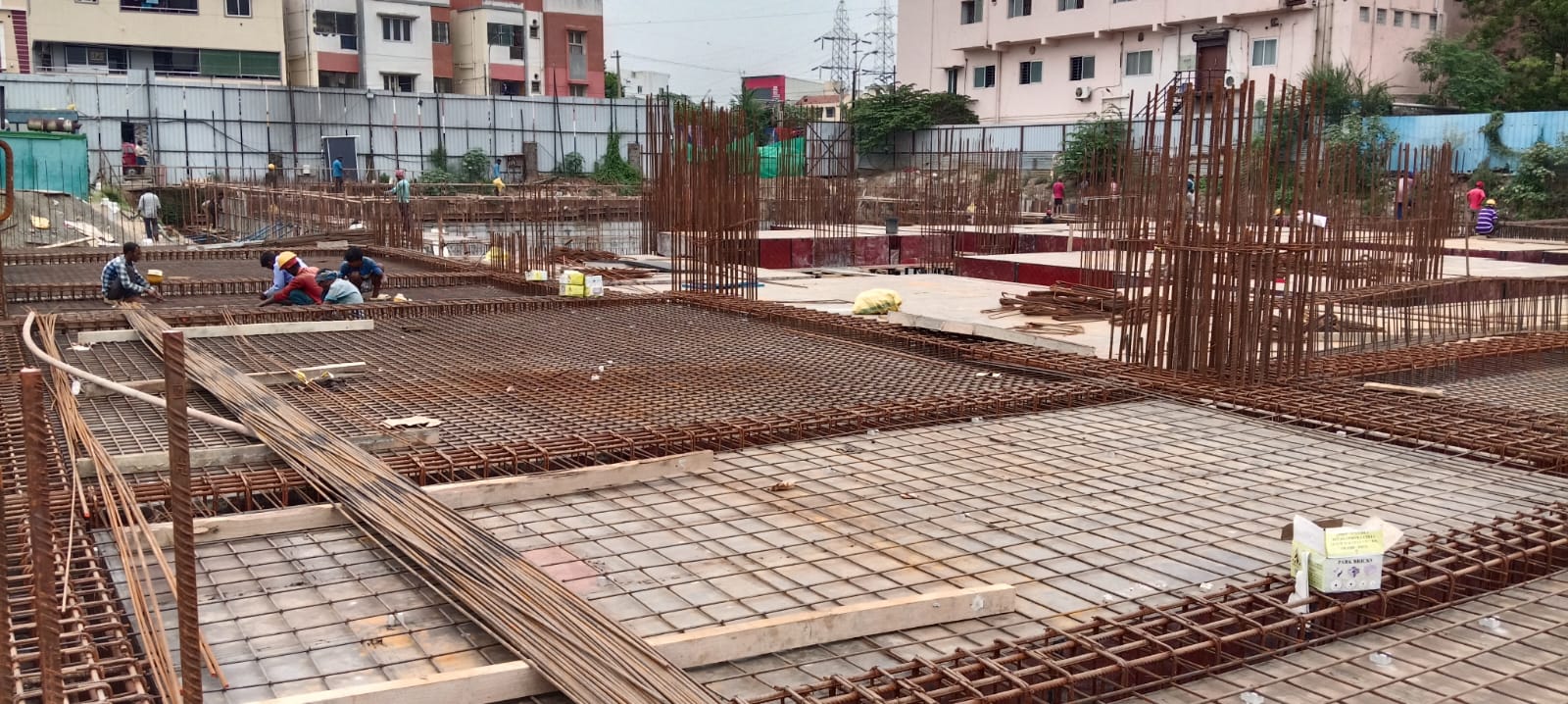 Sai Aranya Progress Image