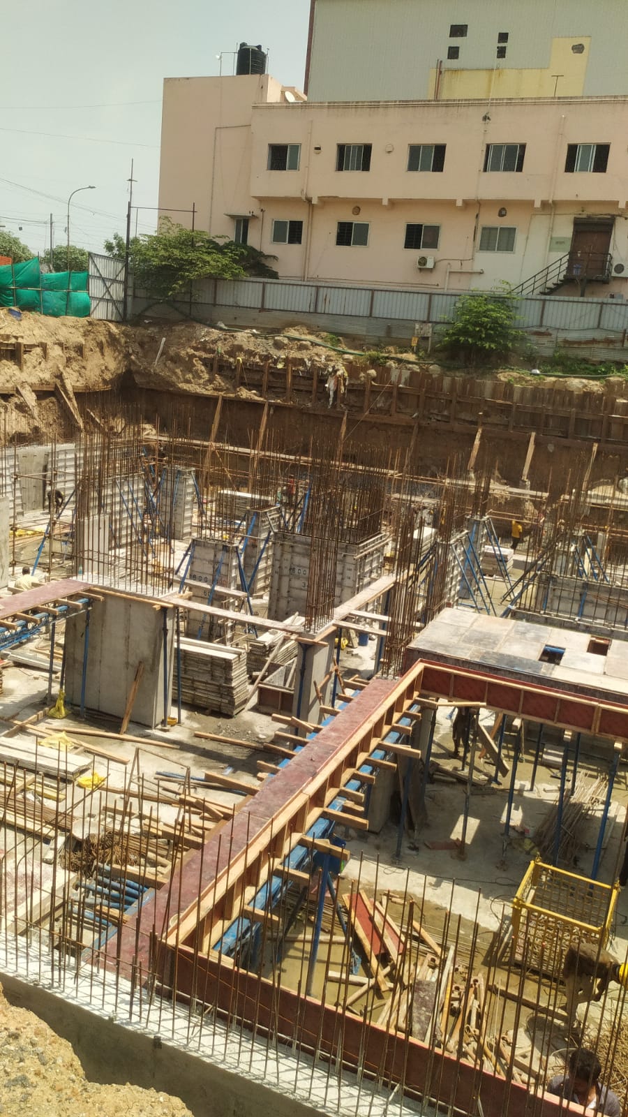 Sai Aranya Progress Image