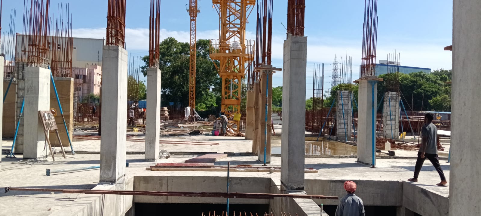 Sai Aranya Progress Image