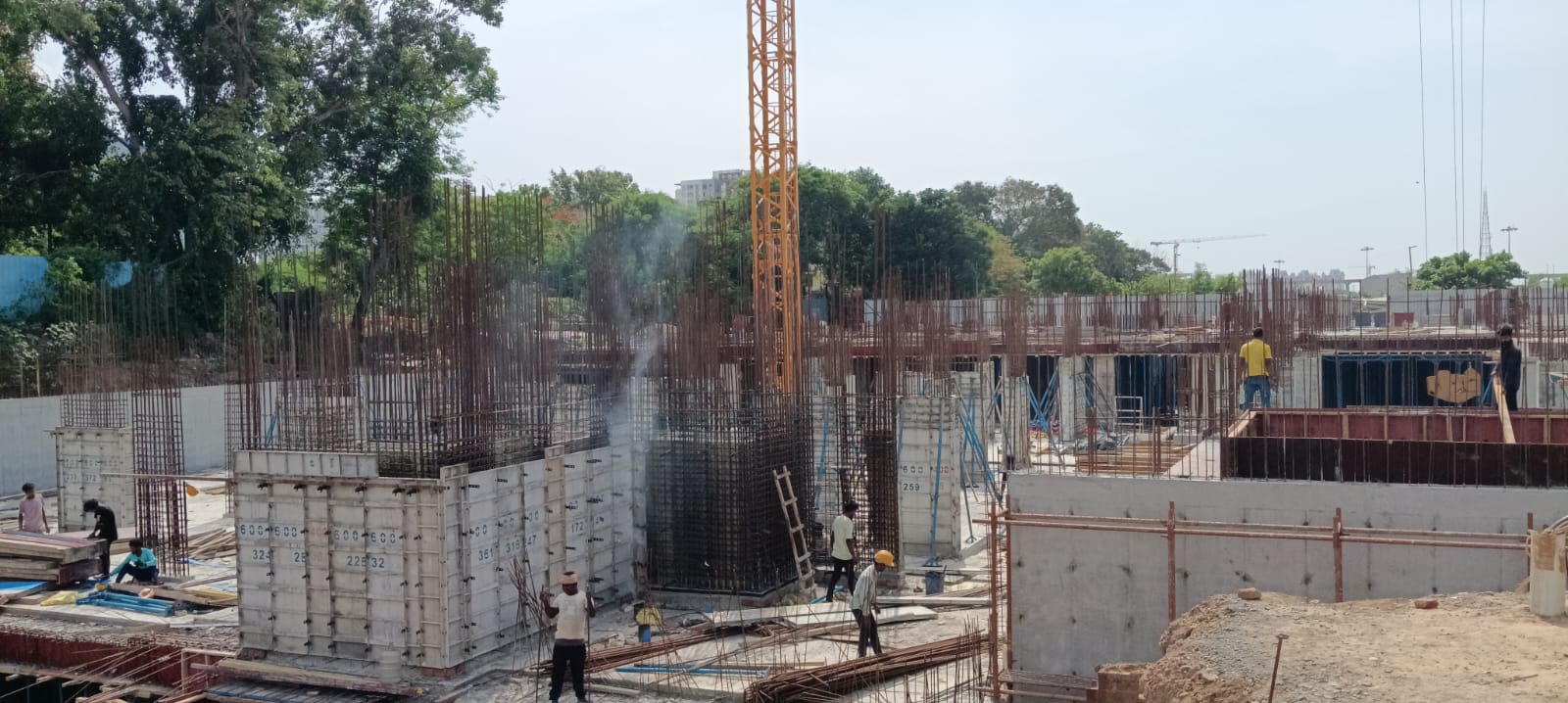Sai Aranya Progress Image