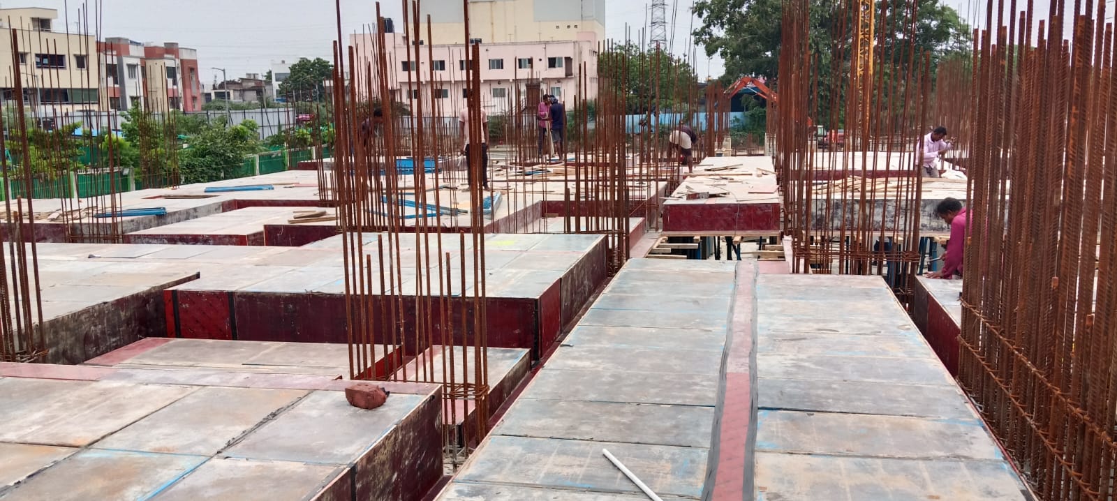 Sai Aranya Progress Image