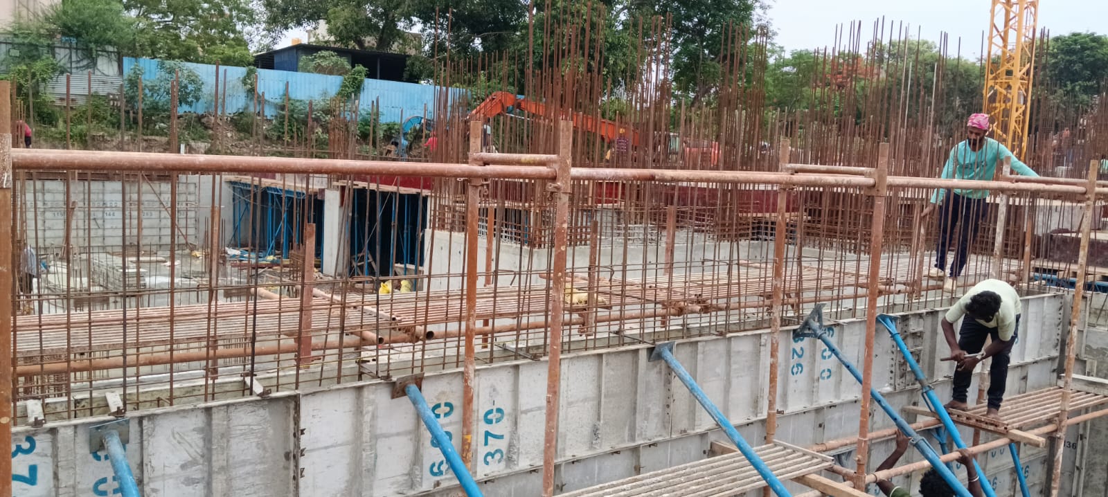 Sai Aranya Progress Image