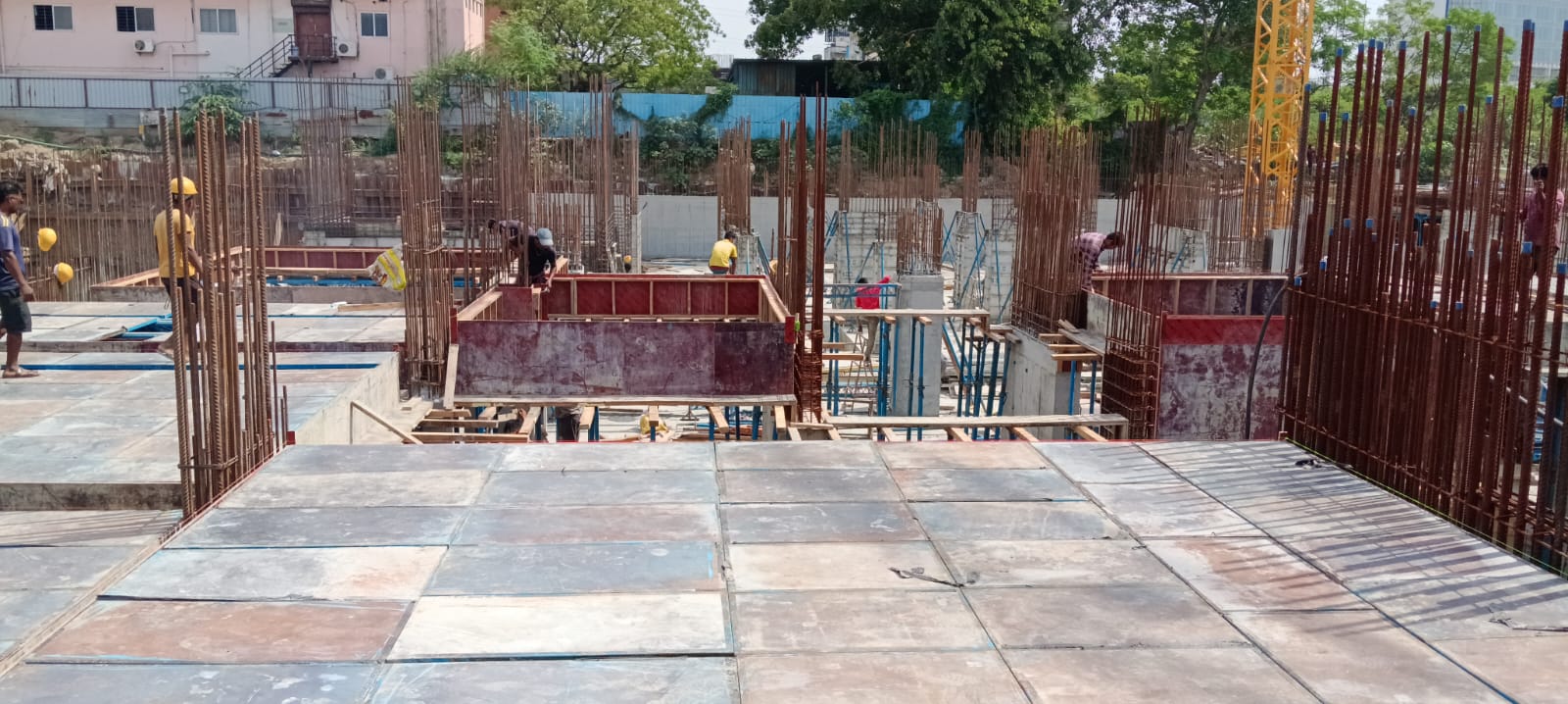 Sai Aranya Progress Image