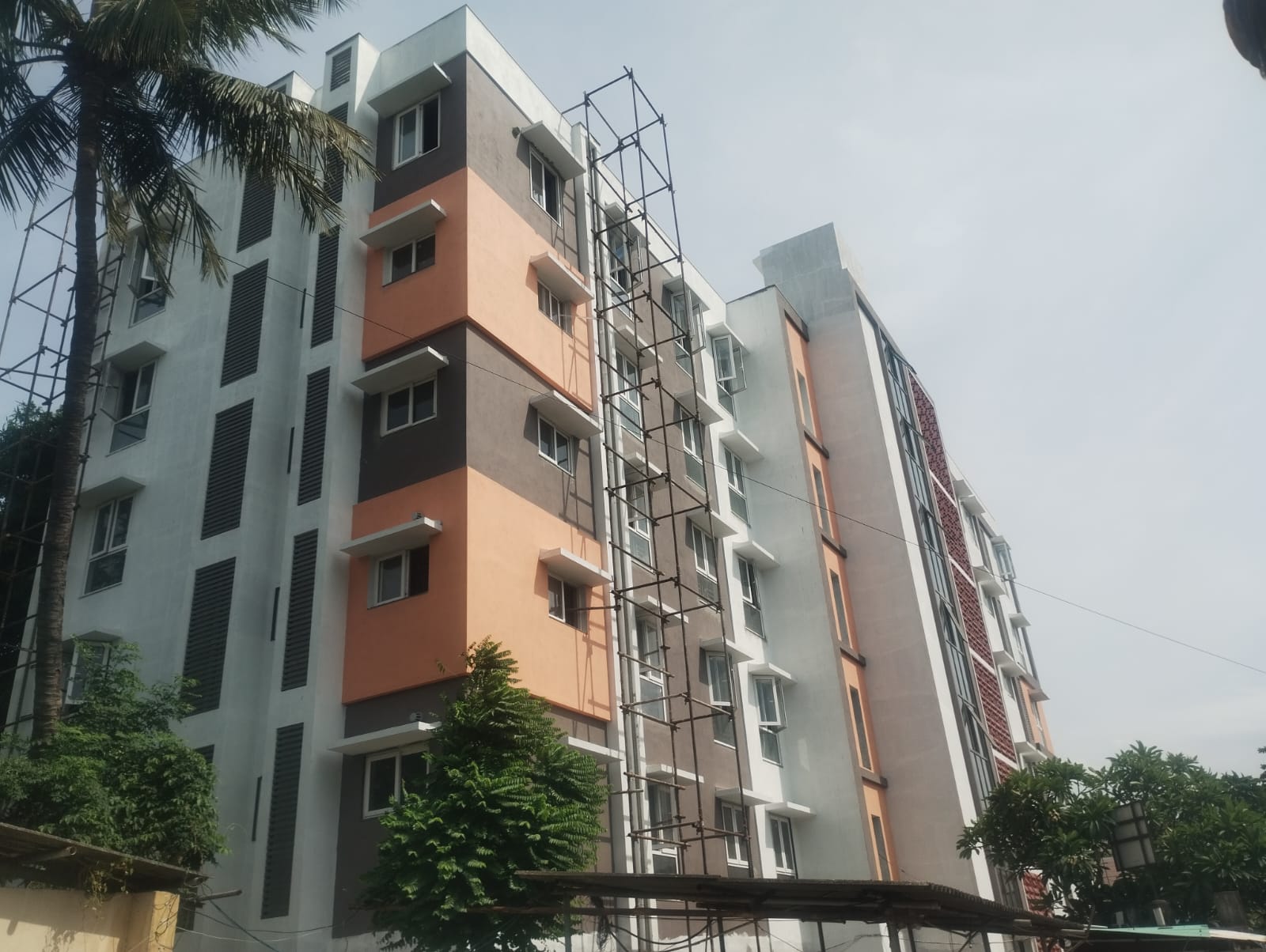 Purna Krishna Progress Image